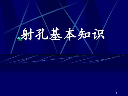 油井射孔基本知识 ppt课件