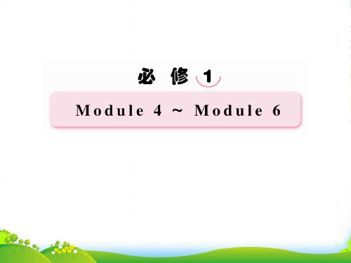高考英语总复习 Unit6 The Internet and课件 外研必修1