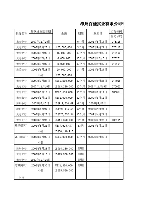 银行融资明细表格式二