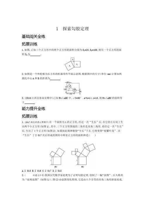 八年级数学上册第一章勾股定理1探索勾股定理训练(pdf,含解析)(新版)北师大版