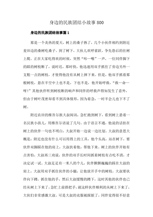 身边的民族团结小故事800