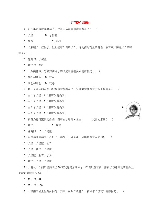 七年级生物上册 3.2.3 开花和结果习题 (新版)新人教版