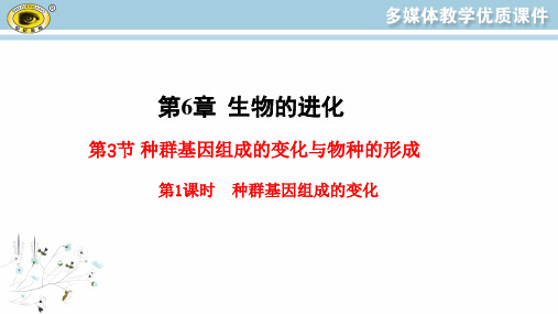 最新人教版高中生物必修二同步教学课件6.3.1种群基因组成的变化与物种的形成