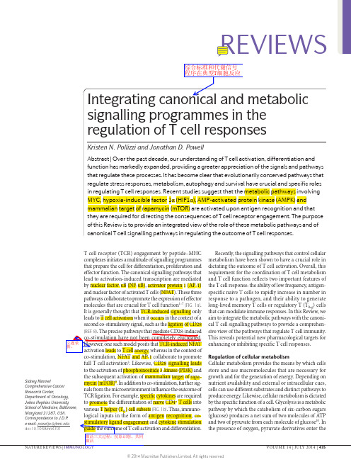 综合标准和代谢信号程序在典型T细胞反应2014.7(33.8)