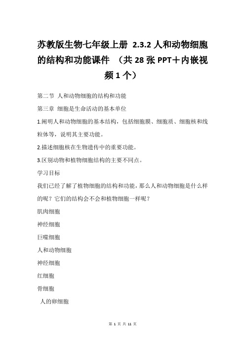 苏教版生物七年级上册 2.3.2人和动物细胞的结构和功能课件 (共28张PPT+内嵌视频1个)