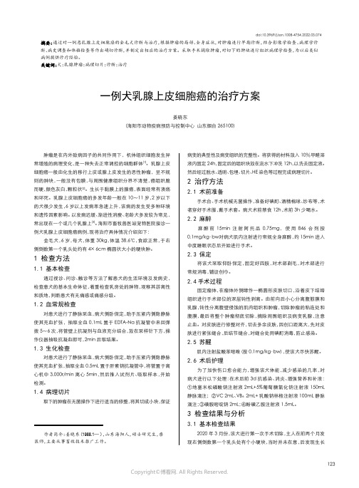 一例犬乳腺上皮细胞癌的治疗方案