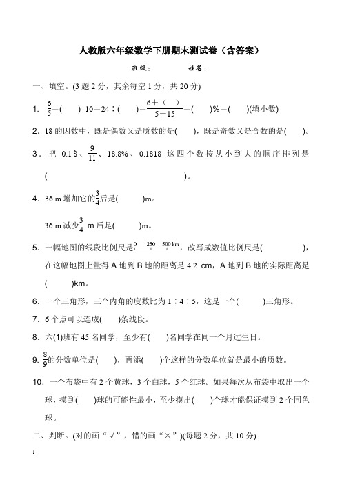 人教版六年级数学下册期末测试卷(含答案)