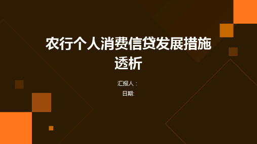 农行个人消费信贷发展措施透析