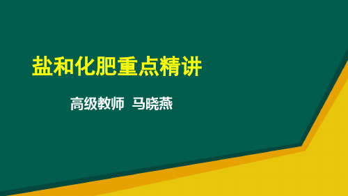 人教版化学 中考专题复习 盐和化肥重点精讲 课件(共13张PPT)