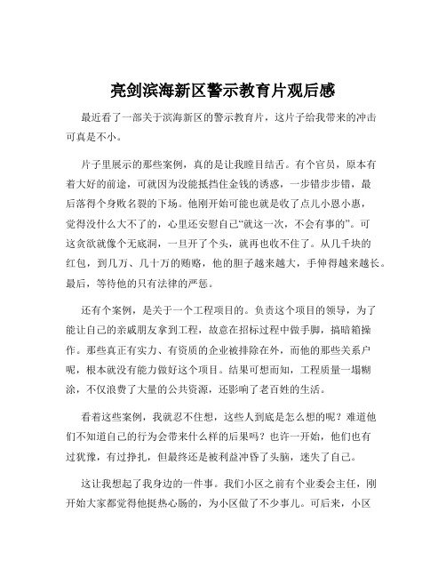 亮剑滨海新区警示教育片观后感