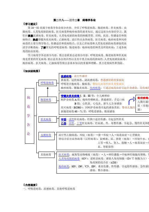 28-32病毒各论