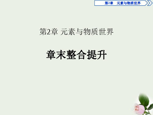 《章末整合提升》元素与物质世界 图文