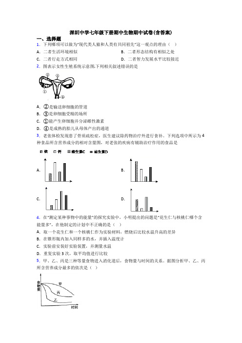 深圳中学七年级下册期中生物期中试卷(含答案)