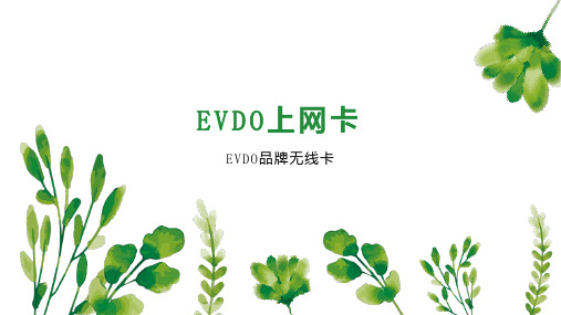 EVDO上网卡