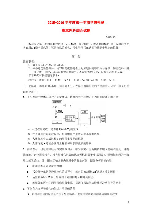 山东省平度市2016届高三统一抽考生物试卷