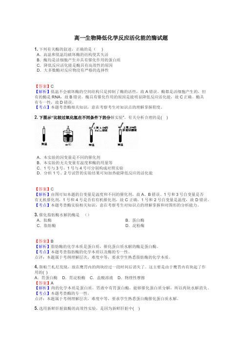 高一生物降低化学反应活化能的酶试题
