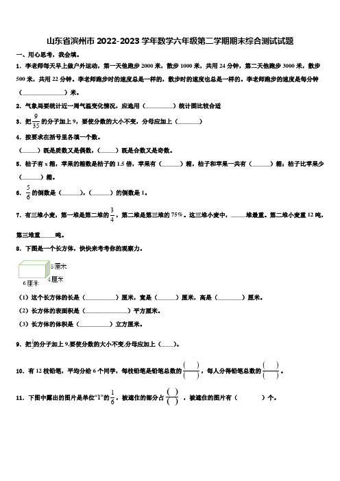 山东省滨州市2022-2023学年数学六年级第二学期期末综合测试试题含解析