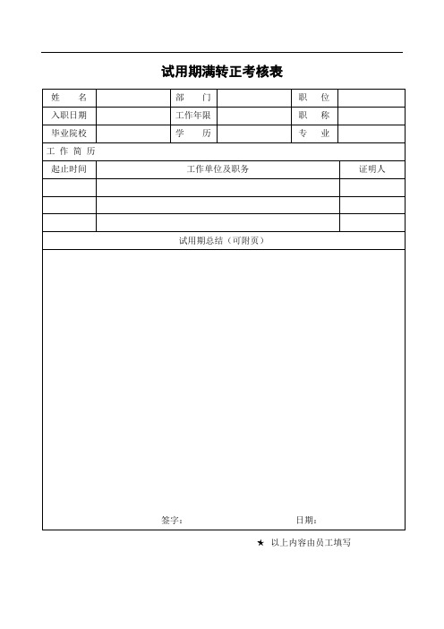 试用期期满考核表