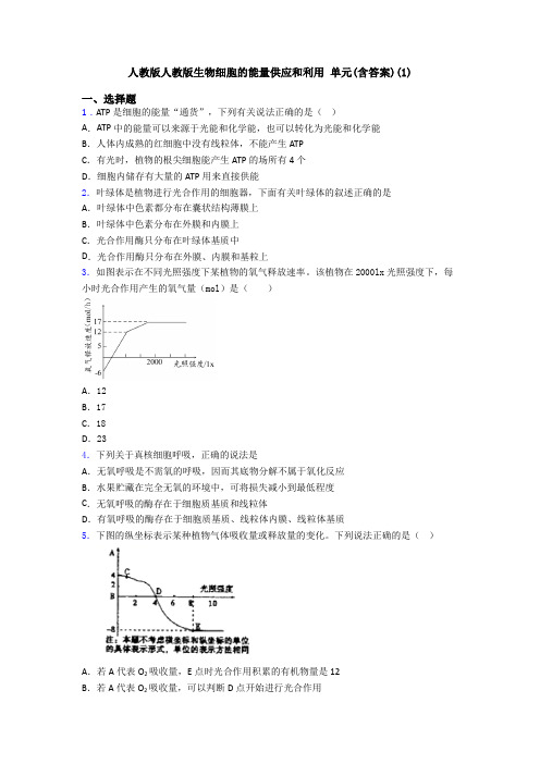 人教版人教版生物细胞的能量供应和利用 单元(含答案)(1)