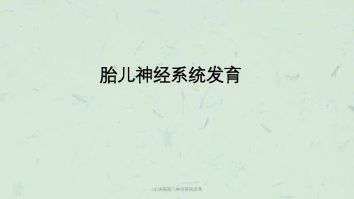 cdc讲稿胎儿神经系统发育ppt课件