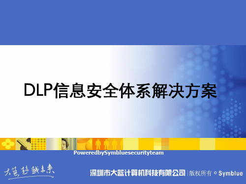 DLP信息安全体系解决方案(PPT 38张)