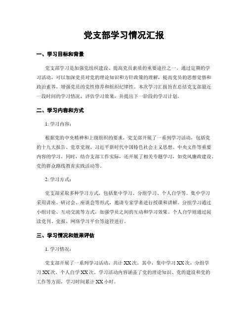 党支部学习情况汇报