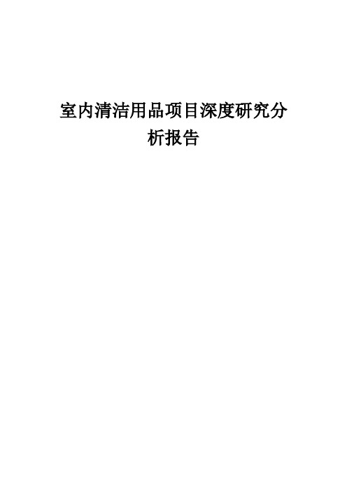 2024年室内清洁用品项目深度研究分析报告