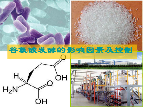 谷氨酸发酵影响因素及控制