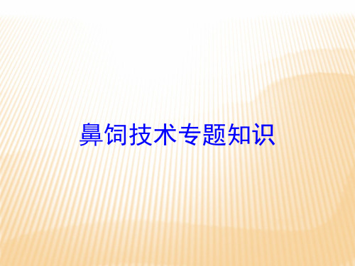 鼻饲技术专题知识培训课件