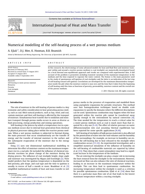 Numerical modelling of the self-heating process of a wet porous medium