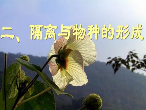 隔离与物种形成、共同进化