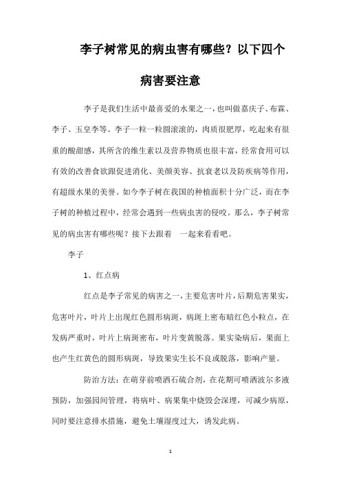 李子树常见的病虫害有哪些?以下四个病害要注意