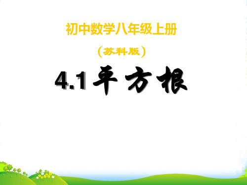 苏科版八年级数学上册《平方根2》课件