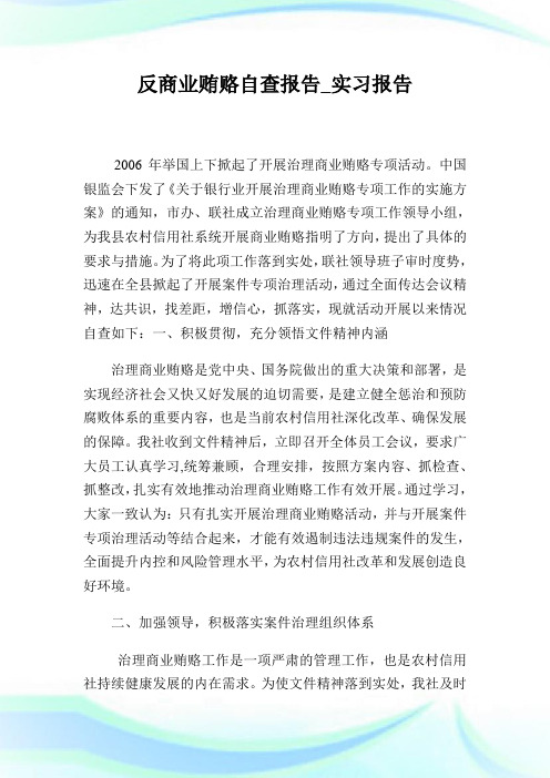 反商业贿赂自查汇报_实习汇报.doc