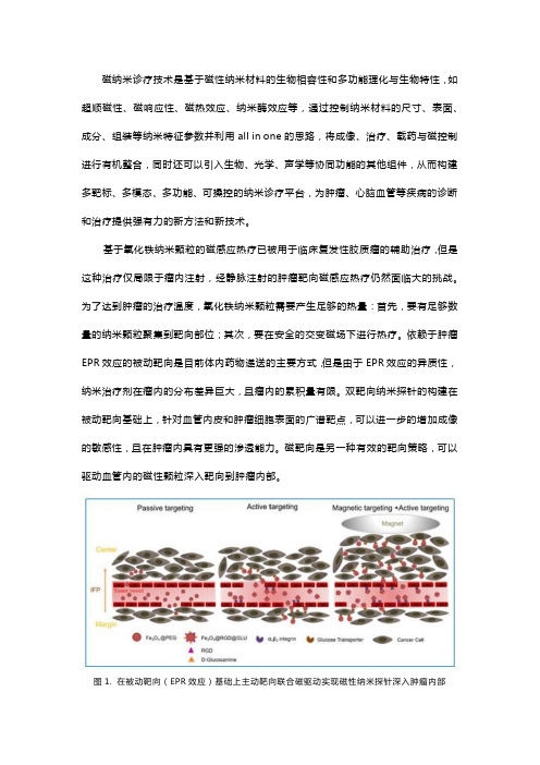 肿瘤磁纳米递送与诊疗技术的关键：深入敌营 ——血管与组织双靶向联合磁力驱动