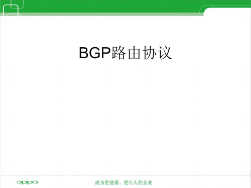 BGP路由协议讲解