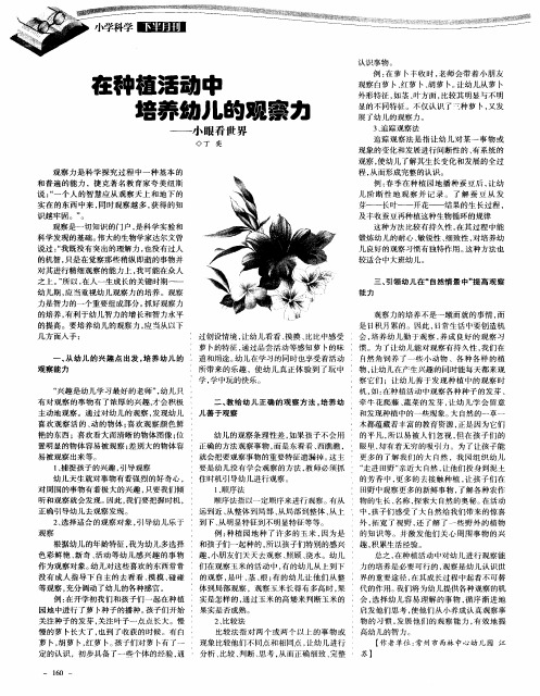 在种植活动中培养幼儿的观察力——小眼看世界