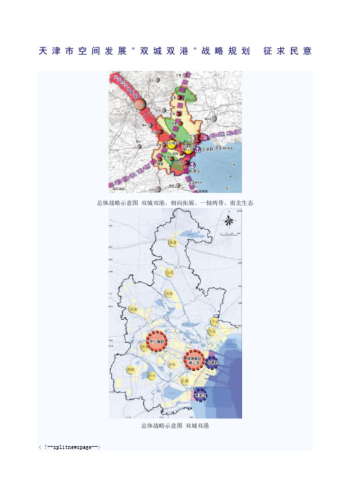 天津市空间发展双城双港战略规划征求民意