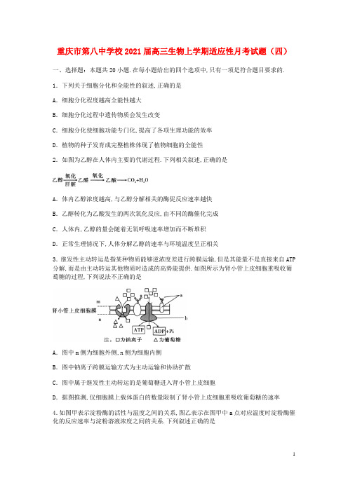 重庆市第八中学校2021届高三生物上学期适应性月考试题四