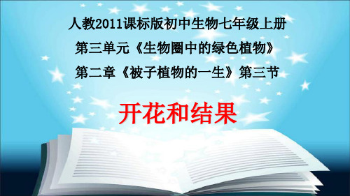 人教版初中生物七年级上3.2.3 开花和结果 课件 PPT(34张)优质课件
