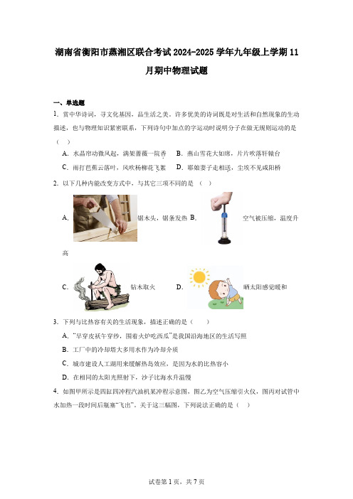 湖南省衡阳市蒸湘区联合考试2024-2025学年九年级上学期11月期中物理试题