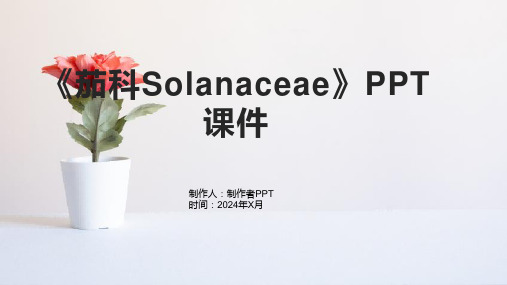 《茄科Solanaceae》课件