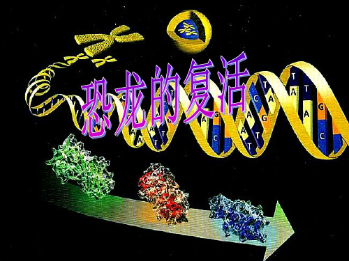 生物：41《基因指导蛋白质的合成》课件(新人教版必修2)