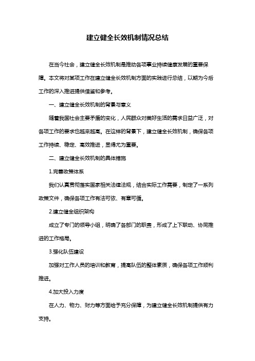 建立健全长效机制情况总结