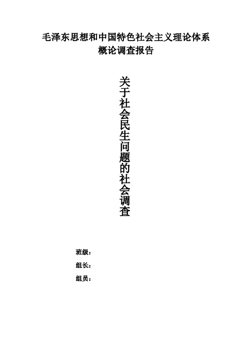 大学生毛概社会调查报告(社会民生问题)