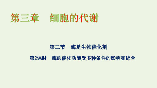 新教材高中生物第三章酶的催化功能受多种条件的影响和综合课件浙科版必修第一册ppt