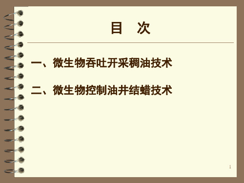 微生物采油技术新发展及应用研究院课堂PPT