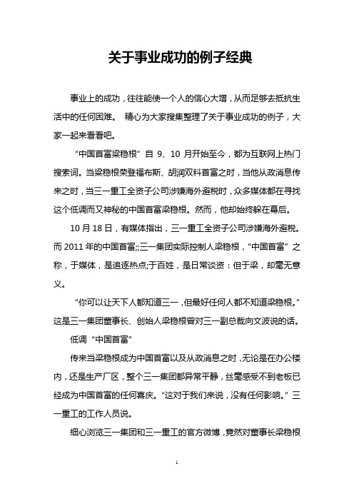 关于事业成功的例子经典