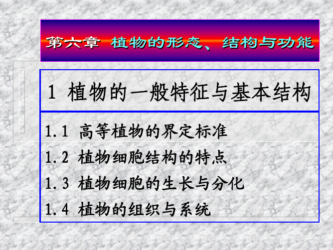 植物结构与特征