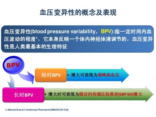 血压变异的ppt